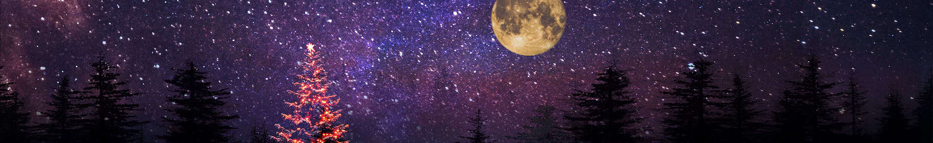 12th Night Web Banner copy
